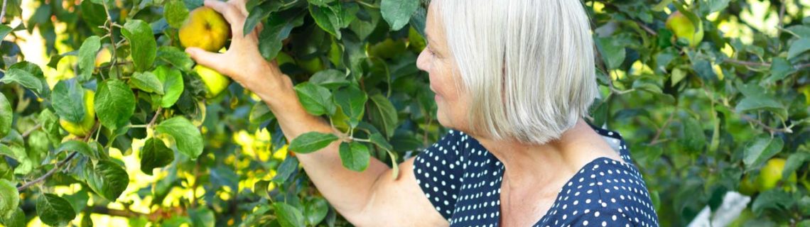 Frauengesundheit Hormonersatztherapie Frau pflückt Obst