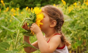 Andere Konsultationsservices Heuschnupfen Mädchen Sonnenblume
