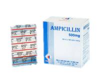 Ampicillin order online